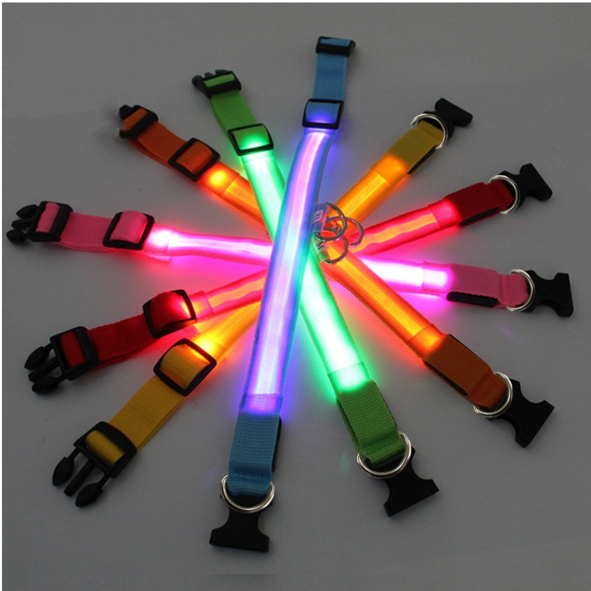 LED Dog Collar