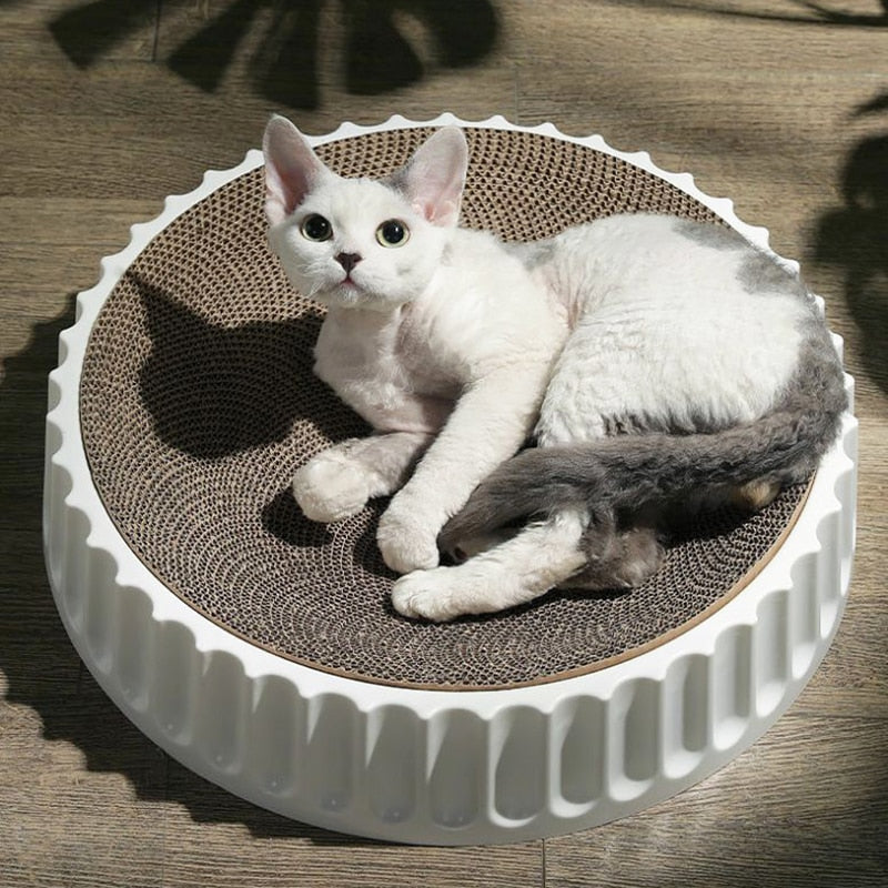 Dome Cat Scratcher Bed